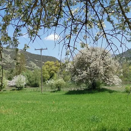 Ξενώνας Ιι Σε Αγροικία Με Τζακι Kalavryta Exteriér fotografie