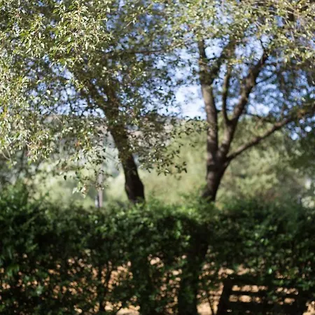 Ξενώνας Ιι Σε Αγροικία Με Τζακι Kalavryta Exteriér fotografie