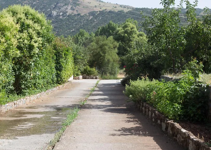 Ξενώνας Ιι Σε Αγροικία Με Τζακι