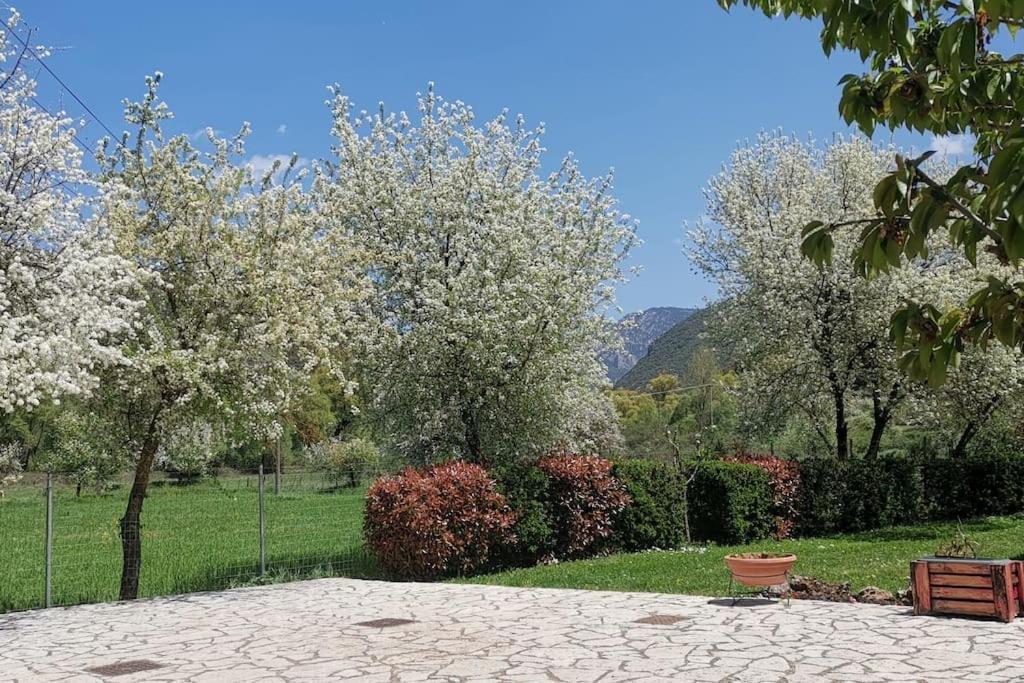 ιι σε αγροικία με τζακι Apartment