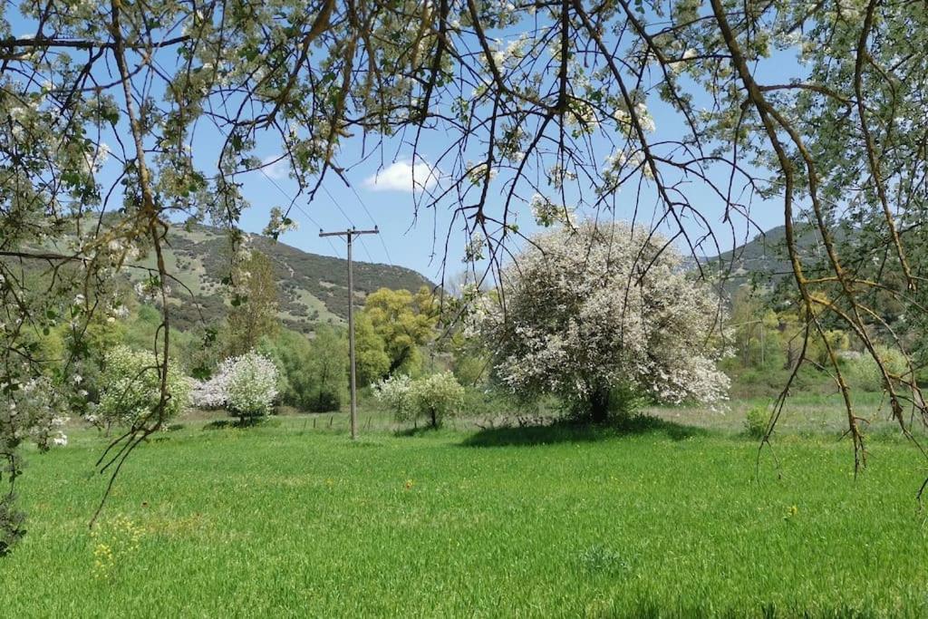 ιι σε αγροικία με τζακι Apartment Kalavryta