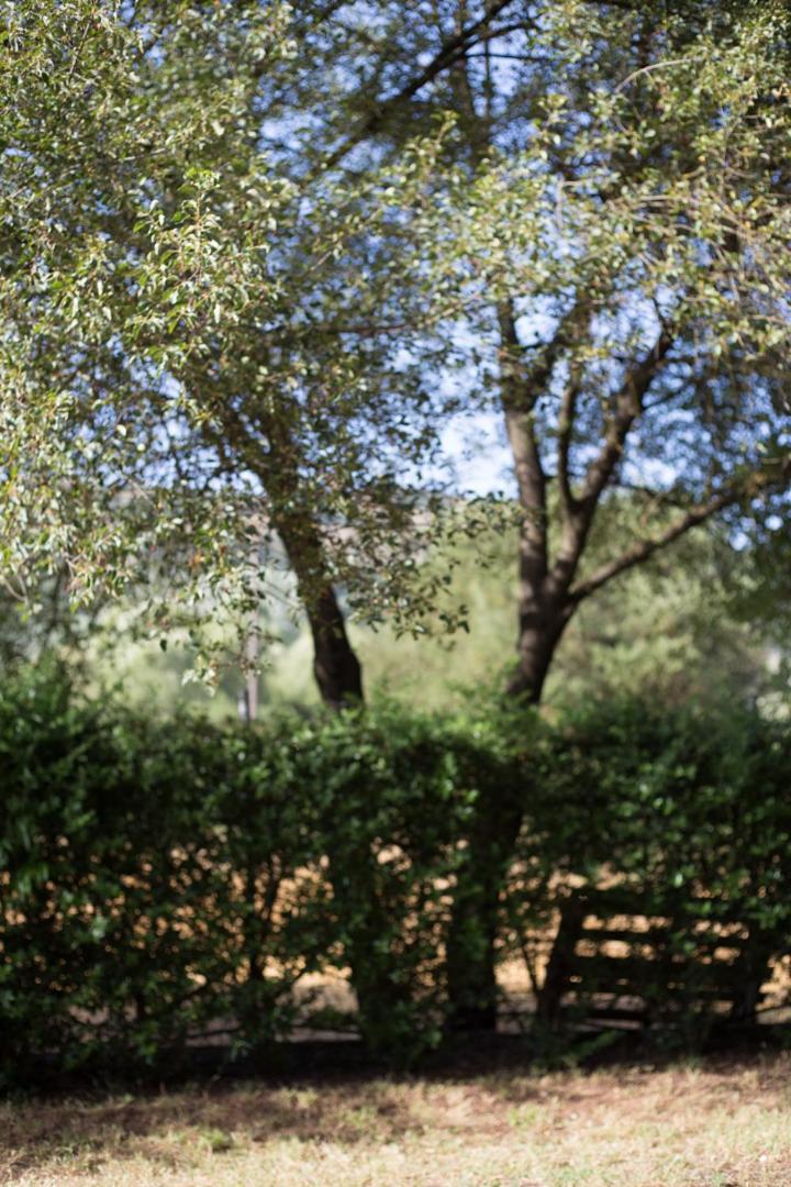 Apartment ιι σε αγροικία με τζακι Kalavryta