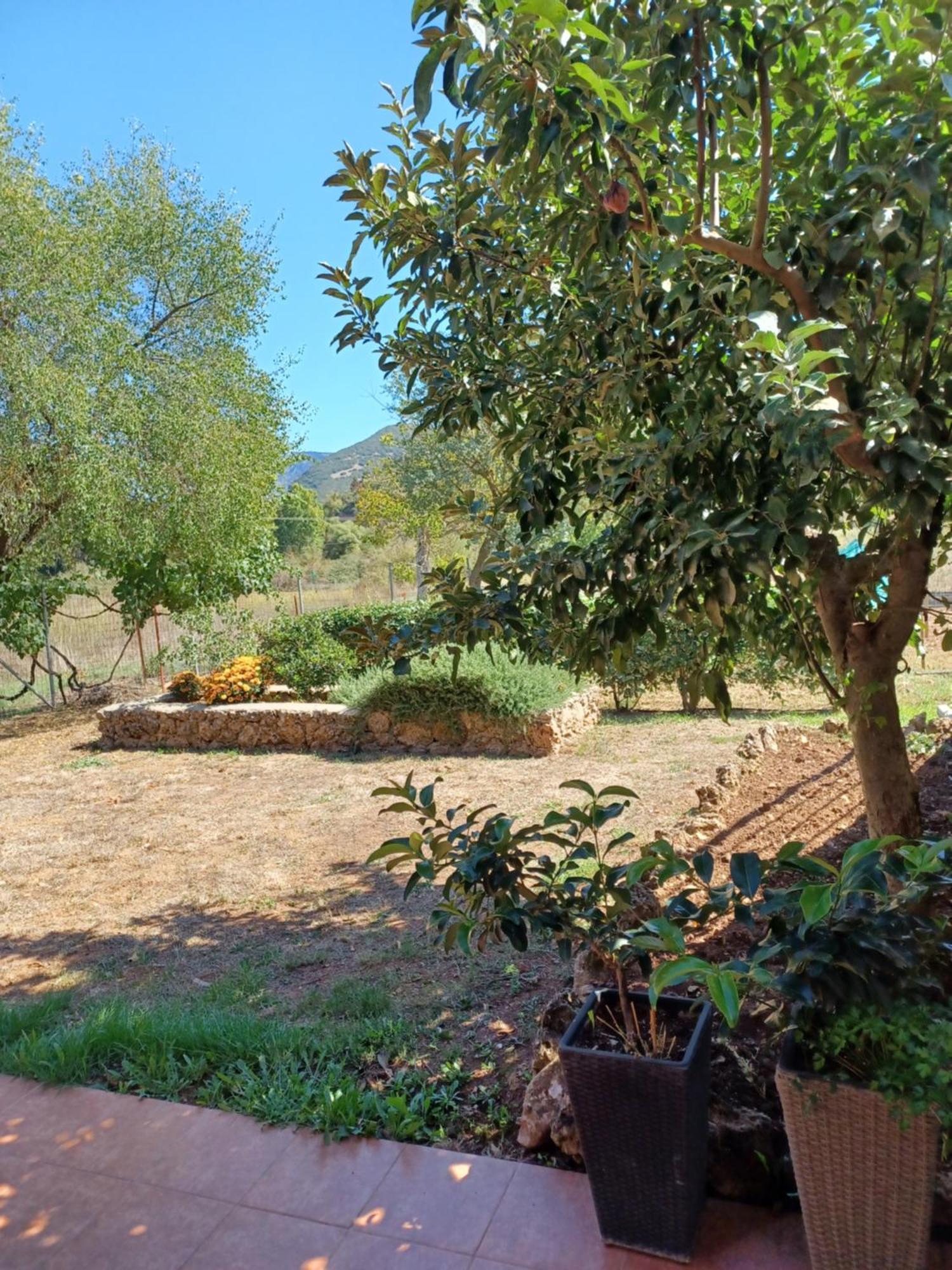 ιι σε αγροικία με τζακι Apartment Kalavryta